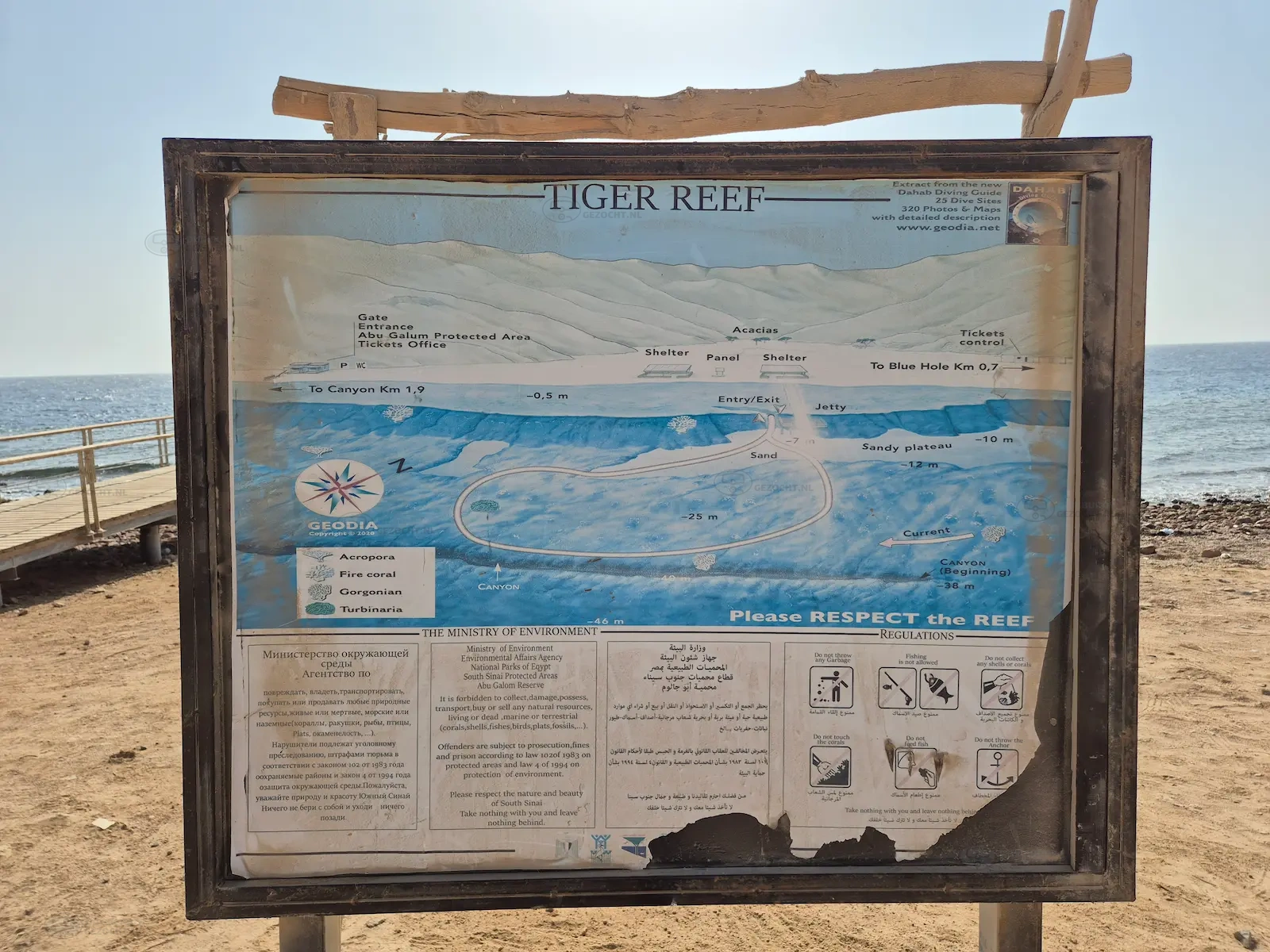 Tiger reef